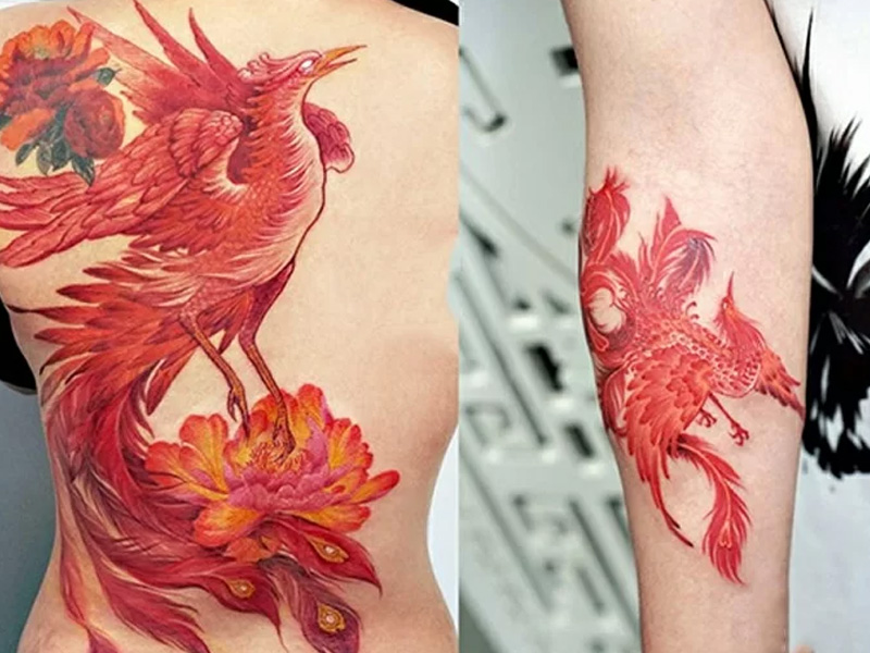 Phoenix Tattoo full back Part 3  XĂM PHƯỢNG HOÀNG kín lưng  YouTube